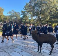 奈良公園散策